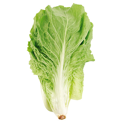 almeirao.jpg